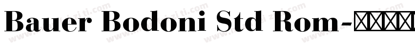 Bauer Bodoni Std Rom字体转换